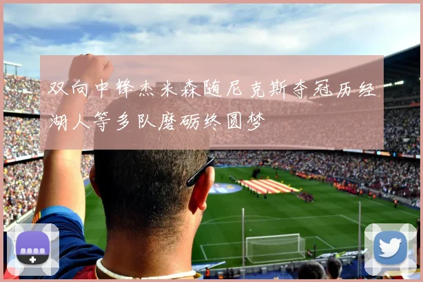 双向中锋杰米森随尼克斯夺冠历经湖人等多队磨砺终圆梦